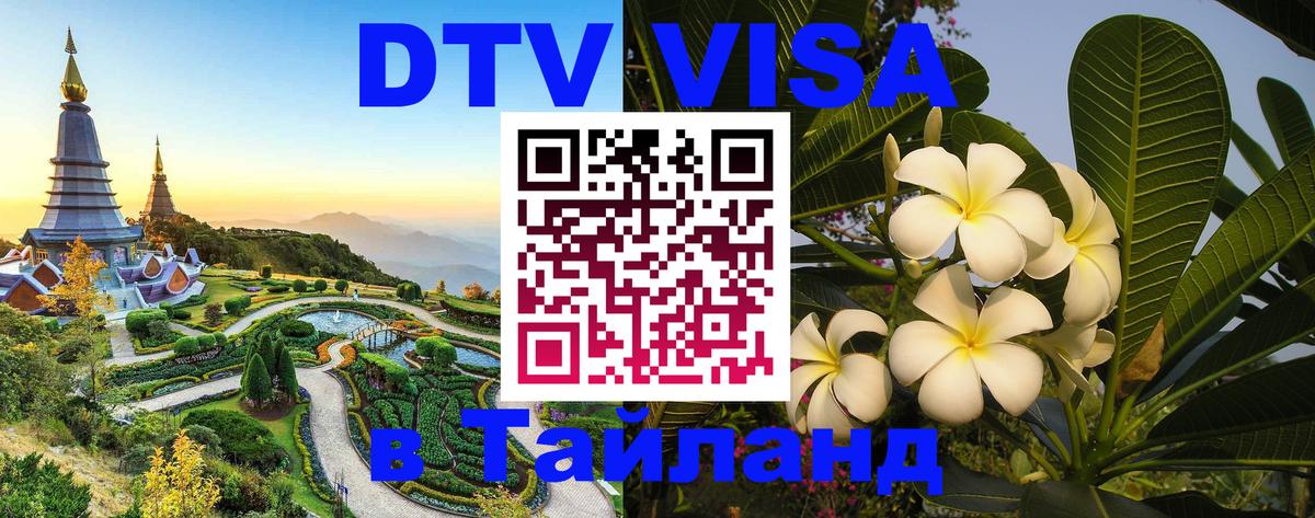 Сколько стоит DTV виза — актуальные цены, оформление даже без документов - 04.10.2025 